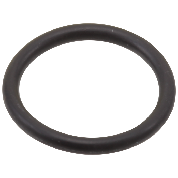 Brizo Brizo Other: O-Rings