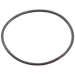 Brizo Brizo Other: O-Ring for Handle