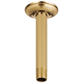 Polished Gold