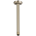 Polished Nickel