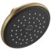 Delta Delta Universal Showering Components: Single-Setting Raincan Shower Head