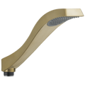 Champagne Bronze