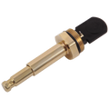 Polished Brass