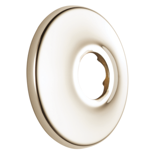 Delta Other: Shower Flange