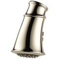 Polished Nickel