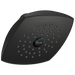 Delta Delta Universal Showering Components: Raincan Single-Setting Touch-Clean Shower Head