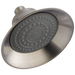 Delta RP70537 Shower Head - Raincan