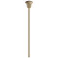 Champagne Bronze