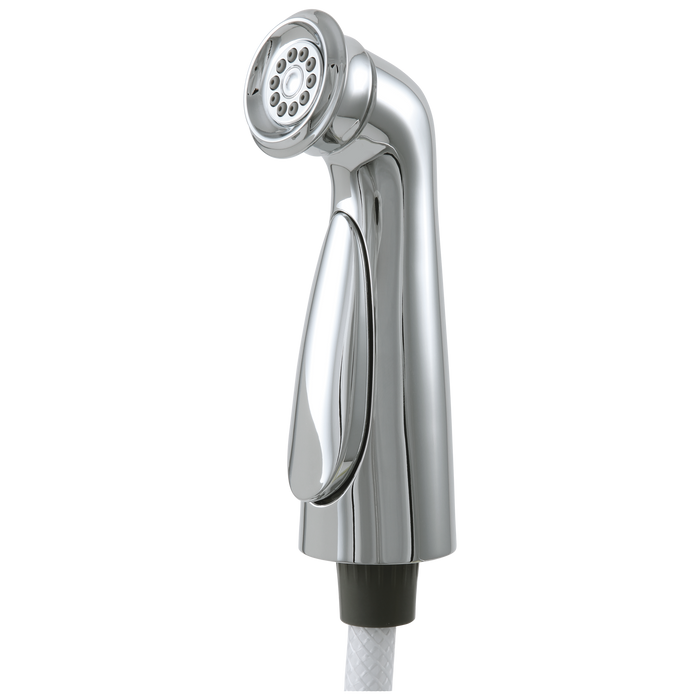 Delta RP72751 Cassidy Spray and Hose Assembly