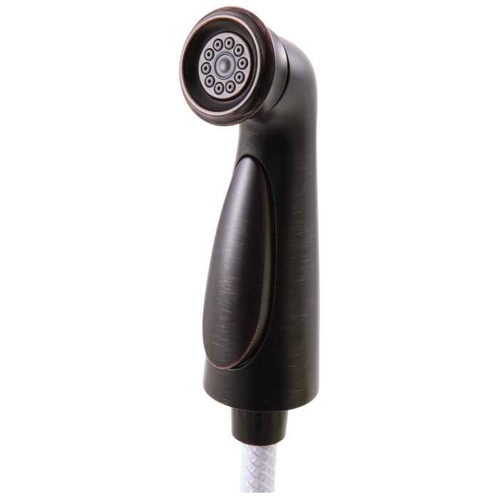 Delta RP72751 Cassidy Spray and Hose Assembly