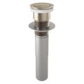 Brushed Nickel