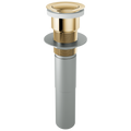 Polished Gold