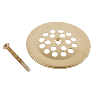 Brizo Other: Dome Strainer with Screw