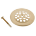 Brizo Other: Dome Strainer with Screw