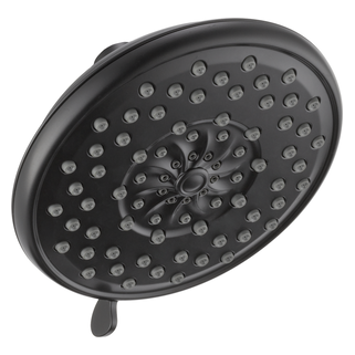 Peerless Xander: Shower head