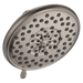 Peerless Apex: Showerhead
