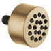 Delta Other: HydraChoice Body Spray - Spray Head