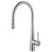Franke Steel STL-PD Single Handle Pull-Down Kitchen Faucet - Stainless Steel (STL-PD-304)