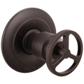 Venetian Bronze