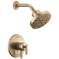 Champagne Bronze