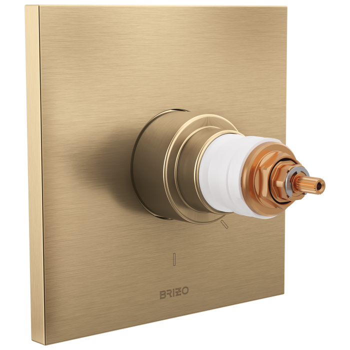 TempAssure Thermostatic Valve Only Trim - Less Handles