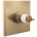 TempAssure Thermostatic Valve Only Trim - Less Handles