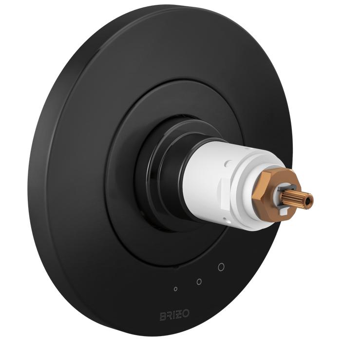 Tempassure Thermostatic Valve Only Trim - Less Handles