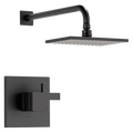 Matte Black - 2.5 GPM