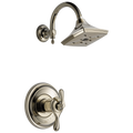 Polished Nickel