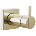 Polished Nickel
