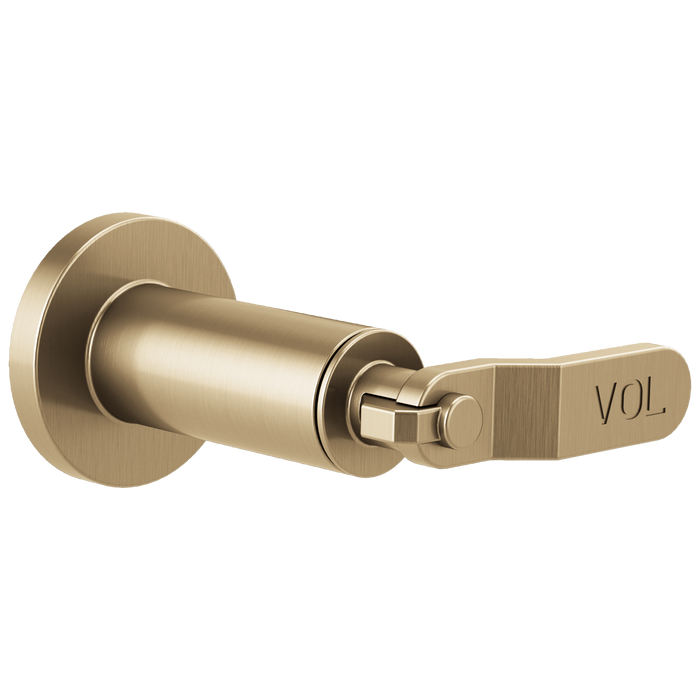 Brizo Brizo Litze: Sensori Volume Control Trim - Industrial Lever