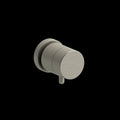 Brushed Nickel (BN)