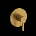 Brushed Gold (BG)