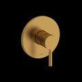 Brushed Gold (BG)
