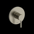 Brushed Nickel (BN)