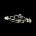 Polished Nickel (PN)