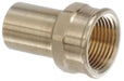 Delta Linden: Tissue Holder