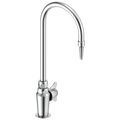 Chrome (6)