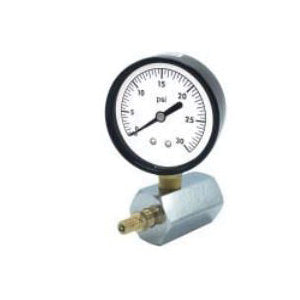 Wal-rich Corporation 1838104 Gas Test Assembly, 2 in Dial, 3/4 in