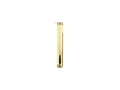 Unlacquered Brass