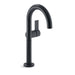 Kallista P24409-TL-CP One Single-Control Sink Faucet, Tall Spout