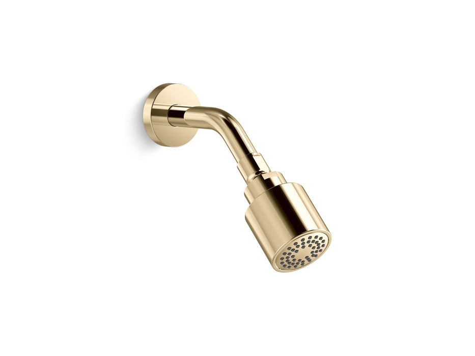 Kallista P24482-00-CP One Showerhead with Arm