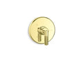 Unlacquered Brass