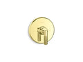 Unlacquered Brass