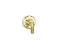 Unlacquered Brass