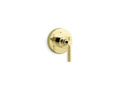 Unlacquered Brass