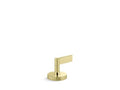 Unlacquered Brass