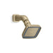 Kallista Contemporary P24712-00 Per Se Showerhead With Arm