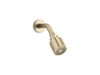 Kallista P24482-00 One Showerhead With Arm