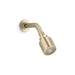 Kallista P21386-00 Central Park West Showerhead With Arm